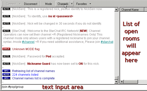 Pirch connected server window