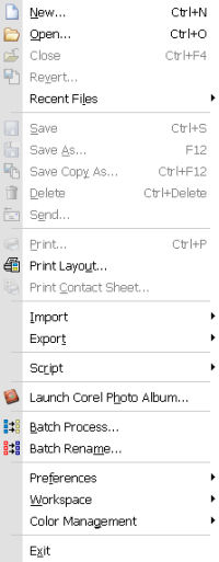 The File Menu