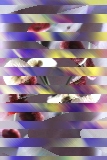/reviews/innov2/innov2wavbstrips.jpg