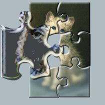 /reviews/puzzlepro/catb.jpg