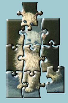 /reviews/puzzlepro/catpuzzle.jpg