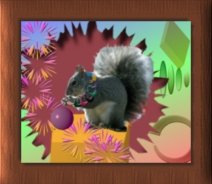 /reviews/tubed2/tubed2squirrel.jpg