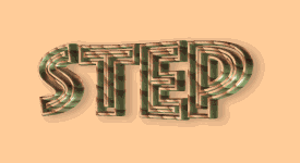 /reviews/xara3d4/stepone.gif