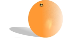 /reviews/xarax/orange.jpg