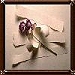 Eye Candy Fancy Frames