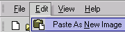 Paste as a new image