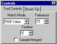 The Magic Wand tool settings.