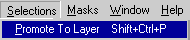 Selections | Promote to Layer menu option