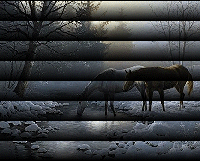 Photograph with default Blinds Texture