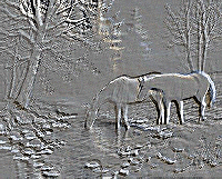 Photograph Embossed
