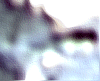 Detail = 1