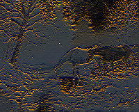 Detail = 20 -- Blur = 0