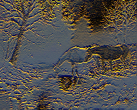 Luminance = 15