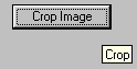 Tool Options - Crop - Crop Button